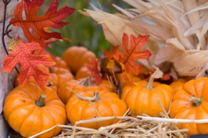 Fall Pumpkins