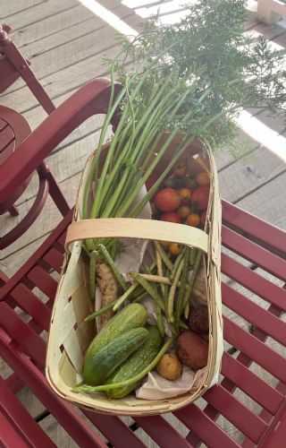 Cookie Grandma's Cucumbers image