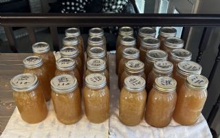 Chicken/Turkey Stock image
