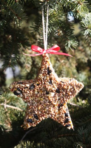 Birdseed Tree Ornaments image