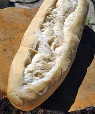 Cuban Bread image