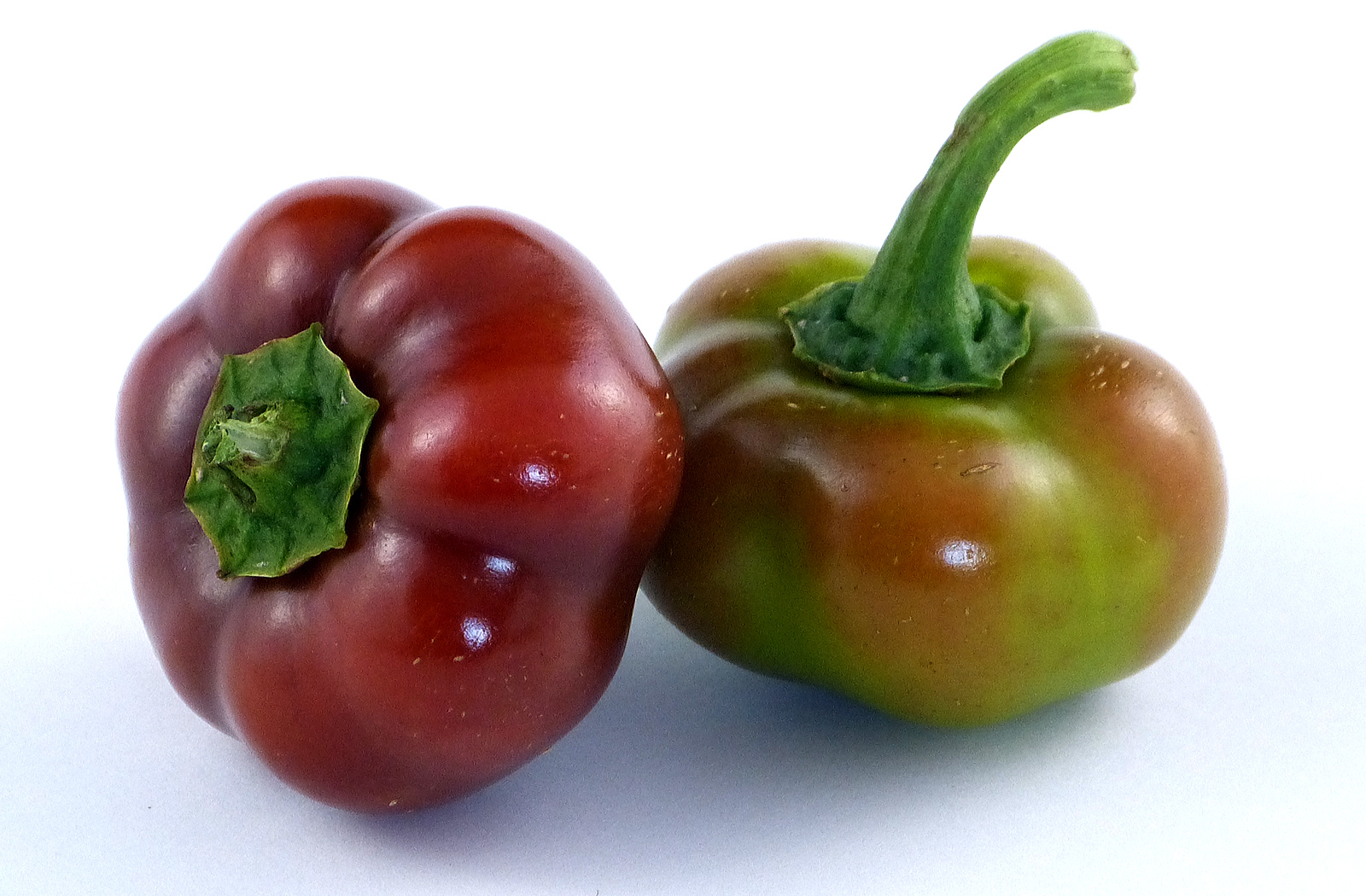 Common Peppers at your Grocery Store The Family Cookbook Project