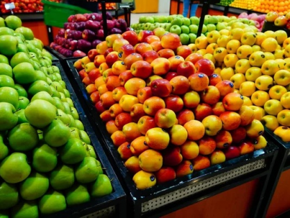 Apple Varieties Explained: Choosing the Right One for Your Needs
