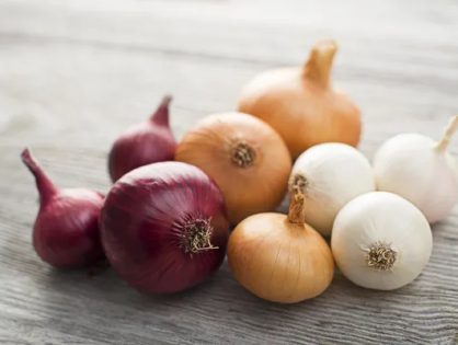 A Guide to Onions: Discover the Best Type of Onion for Every Recipe