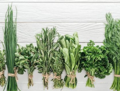 Fresh from the Garden: How to Use and Grow Common Cooking Herbs